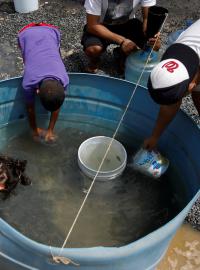 Obyvatelé Portorika se po hurikánu potýkají s nedostatkem vody