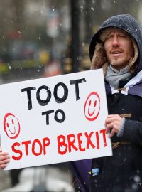 Muž protestující proti odchodu Velké Británie z Evropské unie s nápisem &quot;Zastav brexit, zatrub!&quot;