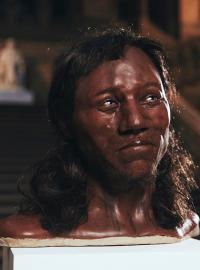 Podobizna takzvaného cheddarského muže v národním muzeu v Londýně