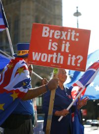 Odpůrci vystoupení Velké Británie z Evropské unie demonstrují před parlamentem v Londýně.