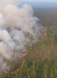 Požáry zasáhly hlavně rozsáhlá území Krasnojarského kraje a Irkutské oblasti, kde vláda vyhlásila stav ohrožení