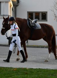 Jízdu na koni by měla v moderním pětiboji nahradit jiná disciplína