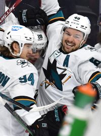 Tomáš Hertl se raduje se spoluhráči ze San Jose