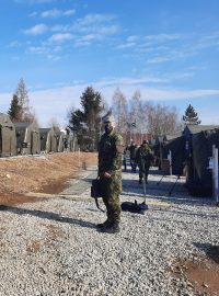 Armáda České republiky podobně jako minulý rok připravila tábor v Rančířově na Jihlavsku pro americké vojáky