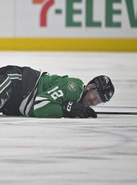 Radek Faksa