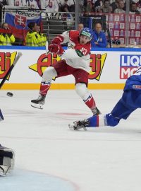 Lukáš Sedlák střídí na bránu během utkání proti Slovensku.