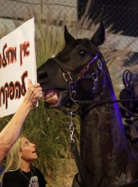 Někteří protestující drželi také transparenty s nápisy „Zastavte válku“ a „Pomozte“