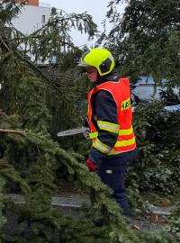 Pražští hasiči zasahovali také na pražském Braníku, kde stromy popadaly na zaparkovaná auta. Nikomu se nic nestalo.