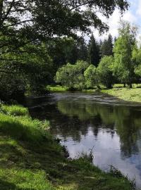 Teplá Vltava protéká první zónou Národního parku Šumava.