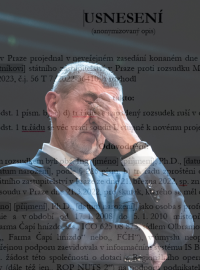 Andrej Babiš se vrátí před soud, který znovu projedná kauzu Čapí hnízdo