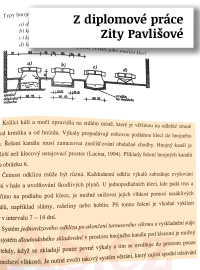 Srovnání diplomových prací Taťány Malé z roku 2005 a Zity Pavlišové z roku 2003.