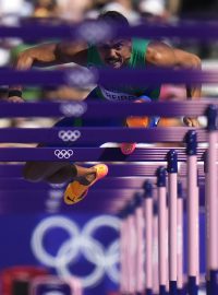 Hlavní cenu v soutěži Czech Press Photo 2024 vyhrál snímek fotografa agentury AP Petra Davida Joska, který na ní zachytil atleta při překážkovém běhu na letních olympijských hrách v Paříži