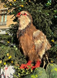 U nás obliba zvěřiny roste, přestože její podíl na celkové spotřebě masa zůstává nízký