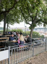 Zahrádka na pražské Letné. Od začátku týdne mohou zákazníci znovu využívat venkovní prostory hospod a restaurací.