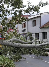 Nedělní vítr kácel stromy a ničil střechy domů.