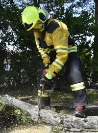 Hasiči odstraňují větve, které kvůli silnému větru spadly na silnici ve Valticích na Břeclavsku.