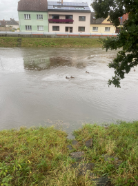 Řeka Nežárka ve Veselí nad Lužnicí