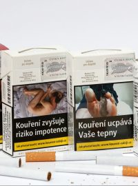 Krabičky cigaret s varováním (ilustrační foto)