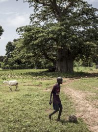 Mladý Senegalec s míčem u stromu baobab