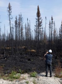 Krajina po lesním požáru v kanadské provincii Québec