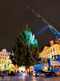 Technici usadili vánoční smrk na Staroměstské náměstí v Praze