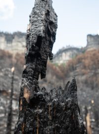 ... přesto přes ni plameny přešly a rozfoukaná hrabanka zapálila protilehlé stráně.