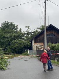 Kvůli sesuvu půdy v obci Lubina popadaly stromy na elektrické vedení