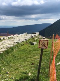 Návštěvnost Krkonoš meziročně stoupá a podle parku přibývá i bezohledných turistů, proto se Správa Krkonošského národního parku rozhodla nainstalovat na celém vrcholu ochranné sítě.