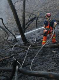 Hašení lesního požáru u Libčic nad Vltavou u Prahy potrvá zřejmě do odpoledne