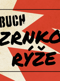 Akce Výbuch, 2. díl: Zrnko rýže