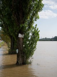 Zatopené pole ve Starém Bohumíně